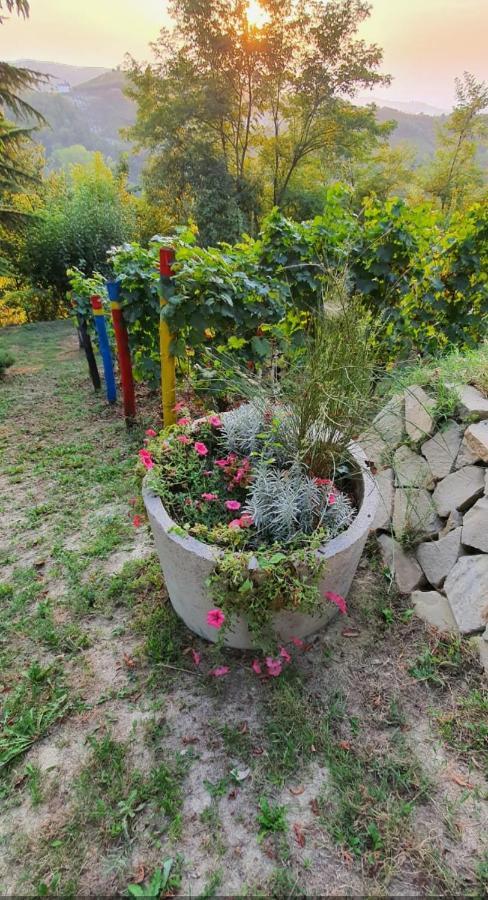 Holiday home Le Rose Di Mapi