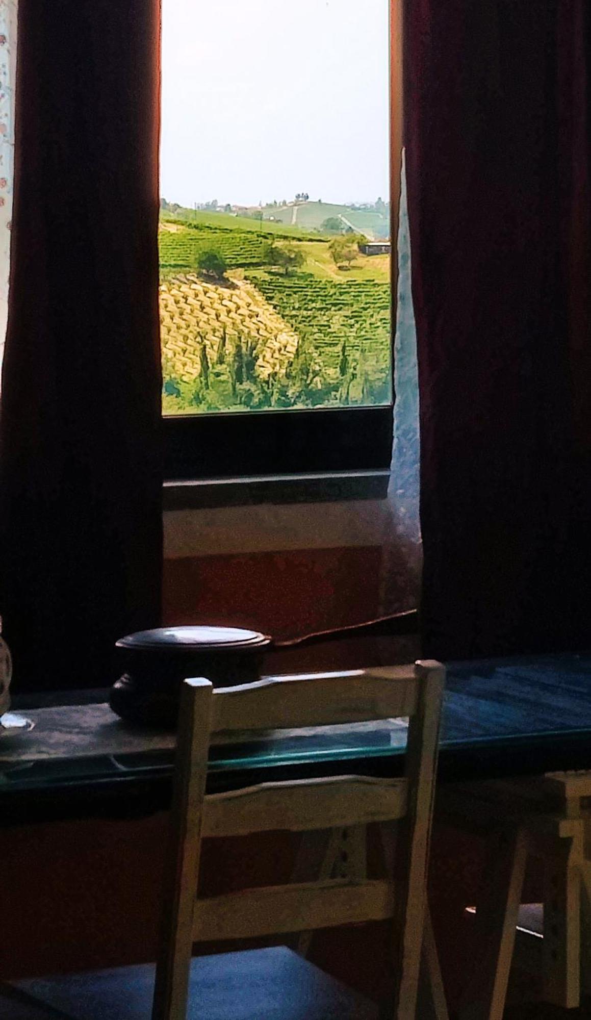 Le Rose Di Mapi * Mango