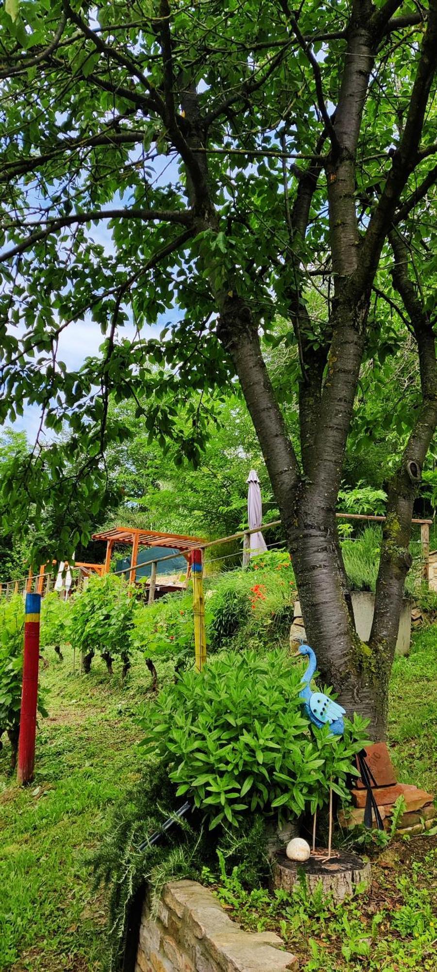 Holiday home Le Rose Di Mapi