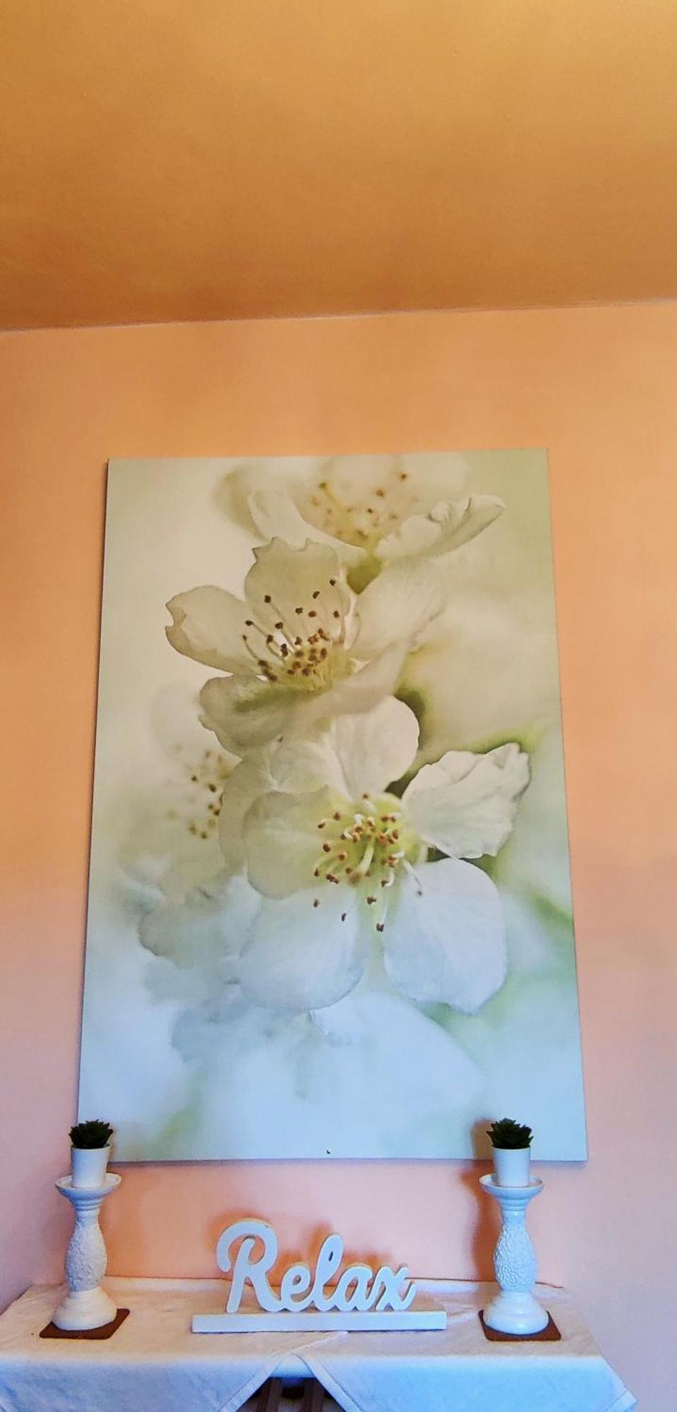 Le Rose Di Mapi Mango