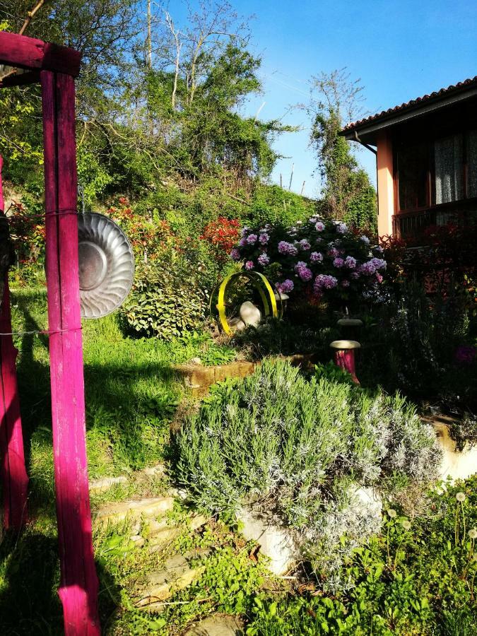 Le Rose Di Mapi
