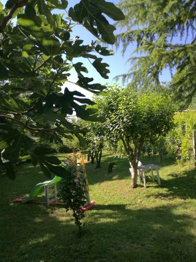 Le Rose Di Mapi Ferienhaus *